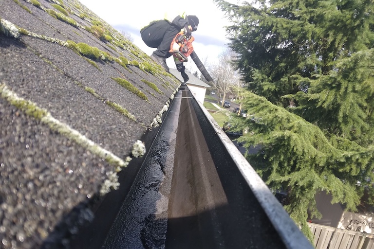 Roof And Gutter Cleaning